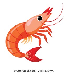  a illustration of a shrimp with white background.