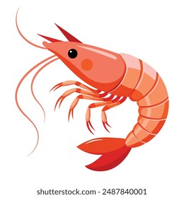  a illustration of a shrimp with white background.