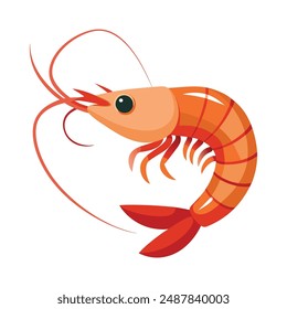  a illustration of a shrimp with white background.