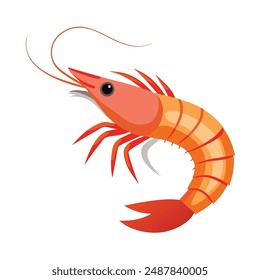  a illustration of a shrimp with white background.