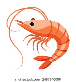  a illustration of a shrimp with white background.