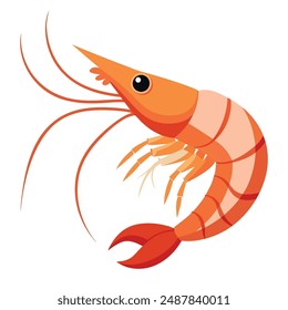  a illustration of a shrimp with white background.