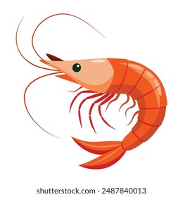  a illustration of a shrimp with white background.