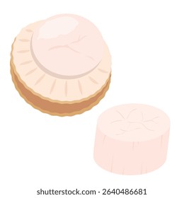 Illustration of shucked scallops and their adductor muscles.Clip art on transparent background