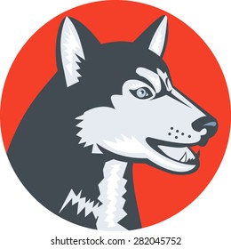 Illustration of a siberian husky dog of the spitz breed, viewed from the side, set inside circle, done in retro style on isolated background.
