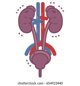 Illustration kranker Urologie