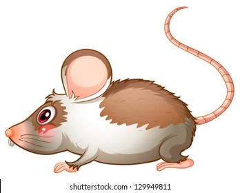 Illustration of the side view of a rat on a white background