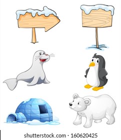 Illustration von Schildern, Tieren und einem Iglu am Nordpol auf weißem Hintergrund