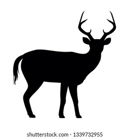 illustration of a silhouette of African deer in the wild