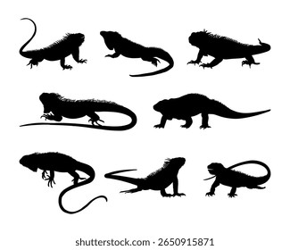illustration silhouette of animal iguana collection set