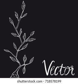 Illustration silhouette branch.