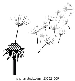  illustration with silhouette of dandelion  on a white background