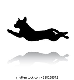 Illustration with silhouette of dog