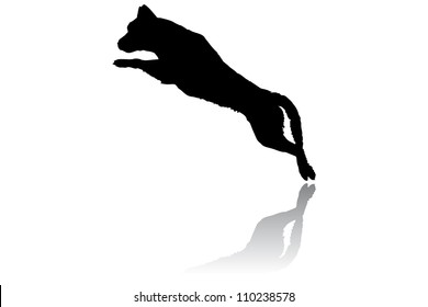 Illustration with silhouette of dog