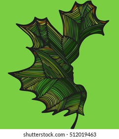 Illustration of the silhouette of the face on the maple leave