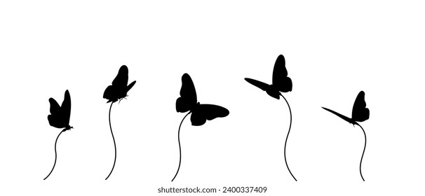 Illustration silhouette of a flying butterfly vector, isolated on white background eps 10