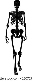 illustration with silhouette of human skeleton