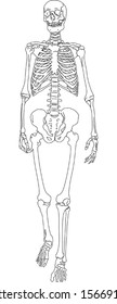 illustration with silhouette of human skeleton
