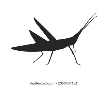 Illustration of the silhouette of an insect camphor grasshopper.