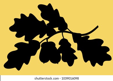 Illustration of the silhouette oak twig
