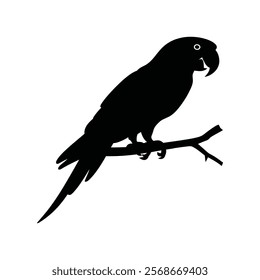 An illustration of the silhouette of a parrot with a white background. The parrot is perched on a branch. The parrot has its eyes open and its beak closed. The branch is thin and bends slightly under 