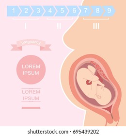 Illustration of a silhouette of a pregnant woman with an embryo