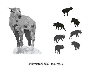 Illustration And Silhouette Set Of Takin