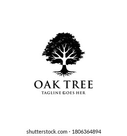 Illustration silhouette Tree Oak logo design vintage vector 