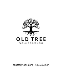Illustration silhouette Tree Oak logo design vintage vector 