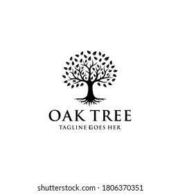 Illustration silhouette Tree Oak logo design vintage vector 