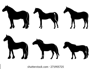 Illustration with silhouettes of horses of different breeds