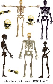 illustration with silhouettes of human skeleton