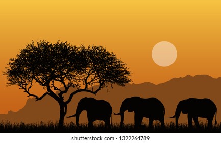 Illustration of silhouettes of mountain landscape of african safari with tree, grass and three elephants. Below the orange sky with the sun - vector