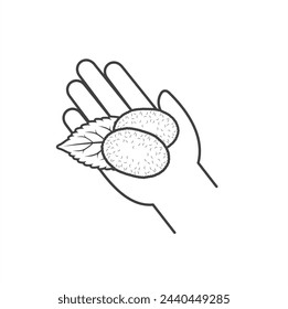 illustration of silkworm cocoon, vector art.