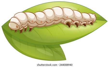 Illustration of a silkworm on a leaf