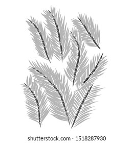 Illustration of silver palm leaf. Isolated white background