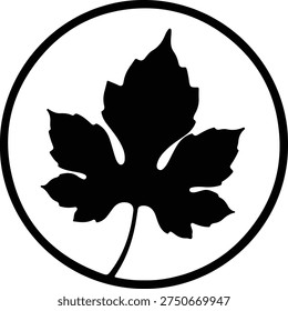 Illustration simple black grape vine leaf in circle logo silhouette vector