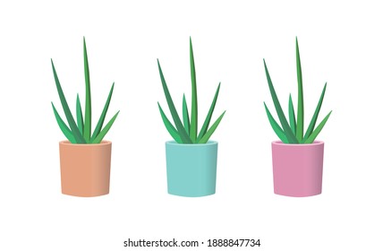 Illustration of a simple cactus
