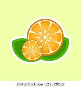 illustration of a simple citrus fruit cut with a leaf. suitable for vitamin products, t-shirt illustrations etc