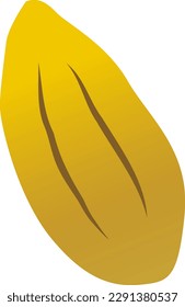 Illustration einer einfachen Kakabohne
