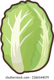 Illustration of a simple and cute Chinese cabbage