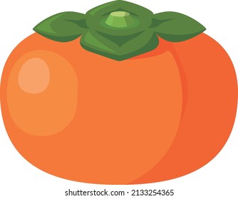 Illustration of a simple and cute persimmon