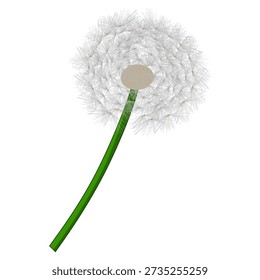 Illustration Simple Dandelion Flower Seed Head Botanical Element