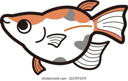 Illustration of a simple Dharma killifish