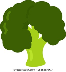 Illustration of simple flat colored green broccoli