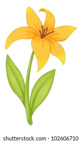 Illustration of a simple flower