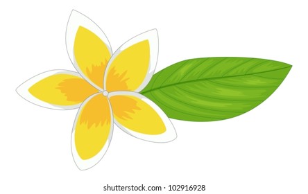 Illustration of a simple flower decoration