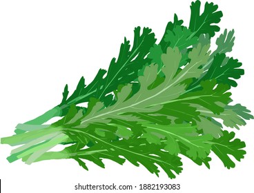 Illustration of a simple garland chrysanthemum