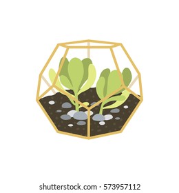 illustration of simple geometric terrarium with plants. geometric terrarium with succulent. can be used like stickers, pins, patches or for posters and greeting cards