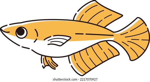 Illustration of a simple Hikari killifish